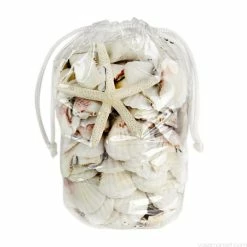 19.2 Lbs White Mixed Sea Shells With Bleached Finger Starfish (Approximately 1200 Pcs) -Glass Vases Boutique de vente vfss2002 00 1