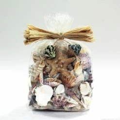 19.2 Lbs Natural Mixed Shells In Bulseta Bag Bowl Vase Fillers (Approximately 1200 Pcs) -Glass Vases Boutique de vente vfss2003 00