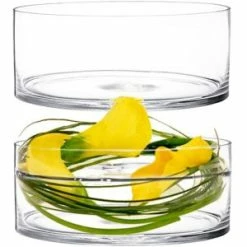 CYS Excel Wide Clear Glass Cylinder Vase (H:4" D:10") Pack Of 1