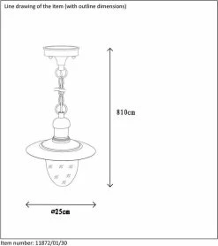 Lucide ARUBA Lampe à Suspension D'extérieur - Ø 25 Cm - E27 - IP44 - Zwart -Glass Vases Boutique de vente 1068x1200