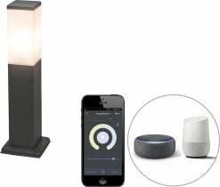 QAZQA Malios - Lampe D'extérieur LED Moderne Et Smart | Lampadaire Pour Extérieur Avec WiFi - 1 Lumière - H 45 Cm - Gris Foncé - Éclairage Extérieur