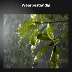 Philips Hue Lily Garden Spot - Ambiance Blanche Et Colorée - 1 Lampe - Kit D'extension - Extérieur 23 Philips Hue Lily Garden Spot - Ambiance Blanche Et Colorée - 1 Lampe - Kit D'extension - Extérieur -Glass Vases Boutique de vente 1200x1200 1017