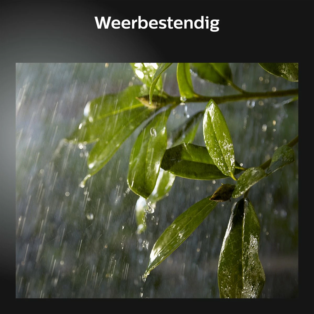 Philips Hue Lily Garden Spot - Ambiance Blanche Et Colorée - 1 Lampe - Kit D'extension - Extérieur 12 Philips Hue Lily Garden Spot - Ambiance Blanche Et Colorée - 1 Lampe - Kit D'extension - Extérieur – Image 12