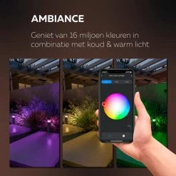 Calex Lampe De Table LED Intelligente - Wifi Lumière D'ambiance - RVB Et Lumière Blanche Chaude - Noir -Glass Vases Boutique de vente 1200x1200 144