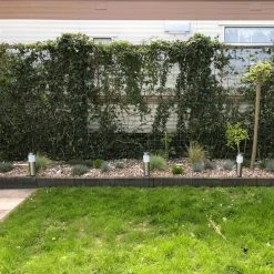 LedKoning Lampe à Piquet Solar Lucifer éclairage De Chemin En Acier Inoxydable à L'énergie Solaire (2 Pièces) -Glass Vases Boutique de vente 1200x1200 247