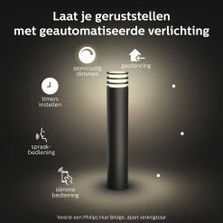 Lampe Sur Pied Philips Hue Lucca - Blanc - Haut - 1 Point Lumineux - Anthracite - Extérieur -Glass Vases Boutique de vente 1200x1200 274