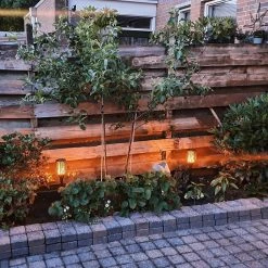 LedKoning Lampe Solaire LED Valeur De La Torche Réglée Avec Capteur Crépusculaire Et Effet De Flamme 22 LedKoning Lampe Solaire LED Valeur De La Torche Réglée Avec Capteur Crépusculaire Et Effet De Flamme -Glass Vases Boutique de vente 1200x1200 359