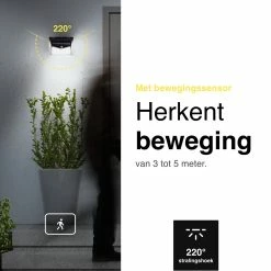 Lampe D'extérieur Vivid Green Solar Avec Détecteur De Mouvement 208 LED - Applique à énergie Solaire - Eclairage De Jardin - Etanche - Avec Capteur - Lampe - Zwart -Glass Vases Boutique de vente 1200x1200 797