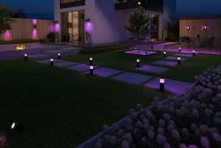 Calex Smart Outdoor LED Lampe D'extérieur - Applique Classique Intelligente - Lumière RVB Et Blanc Chaud - Eclairage Extérieur - 4W - Noir -Glass Vases Boutique de vente 1200x800 9