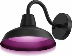 Calex Smart Outdoor LED Lampe D'extérieur - Applique Classique Intelligente - Lumière RVB Et Blanc Chaud - Eclairage Extérieur - 4W - Noir -Glass Vases Boutique de vente 1200x938