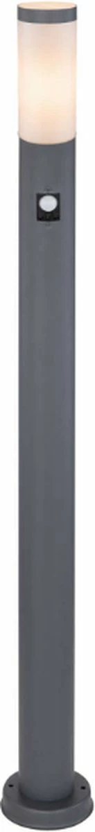 Globo Éclairage Extérieur Avec Prise Pour L'extérieur | 110 Cm | ACIER INOXYDABLE | 2 Prises | Lampe D'extérieur | Anthracite