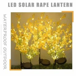 Unbranded Led Led Colza Fleur Lampe Jardin Plug-in Lumière Jardin Extérieur Sola -Glass Vases Boutique de vente 277243813 max