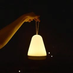 Unbranded Lampe De Table Portable LED Light (Rose) -Glass Vases Boutique de vente 300951333 max