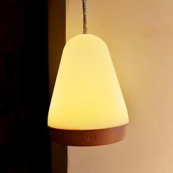 Unbranded Lampe De Table Portable LED Light (Rose) -Glass Vases Boutique de vente 300951334 max