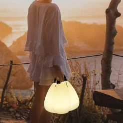 Unbranded Grande Lampe D’extérieur Sans Fil Avec Télécommande - Portable - Led Multicolore - Rechargeable - Waterpr 9 Unbranded Grande Lampe D’extérieur Sans Fil Avec Télécommande - Portable - Led Multicolore - Rechargeable - Waterpr -Glass Vases Boutique de vente 403835827 max