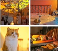 Rtopr Sunset Projection Lampe Led Ambient Light Selfie Photographie Pour Chambre Anniversaire Fête Décor -Glass Vases Boutique de vente 435346694 max