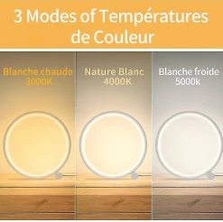 Unbranded Lampe De Chevet Led Lampe De Table Tactile Dimmable, Design Circulaire Moderne, Matériau En Aluminium, Lampe De Lecture De Bureau Pour Chambre à Coucher -Glass Vases Boutique de vente 490026600 max