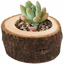 Jscxcf Bougeoirs à Lampe à Thé, Porte-lampes Votifs En Bois Personnalisés Pour Les Centres De Table Pour Table, Halloween | Fête De Noël |valentine