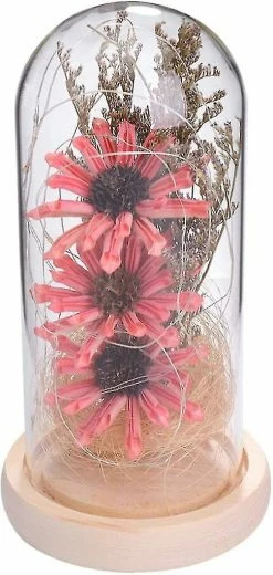 Mryenc Lampe De Fleur Enchantée, Tournesol Artificiel Dans Un Dôme En Verre, Lampe à Fleurs à Led Pour La Saint-Valentin Fête Des Mères -Glass Vases Boutique de vente 597507389 max
