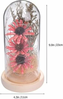 Mryenc Lampe De Fleur Enchantée, Tournesol Artificiel Dans Un Dôme En Verre, Lampe à Fleurs à Led Pour La Saint-Valentin Fête Des Mères -Glass Vases Boutique de vente 597507393 max