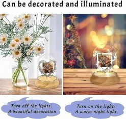 Unbranded Lampe De Nuit Personnalisée Avec Photo, Lumière De Nuit Photo Personnalisée Dans Un Dôme En Verre Avec Ficelle à Led -Glass Vases Boutique de vente 621489622 max