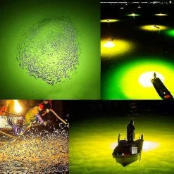 Unbranded Lampe De Piégeage De Pêche Sous-marine à Led Attirant La Lumière Lumineuse Lure Ba -Glass Vases Boutique de vente 678568079 max