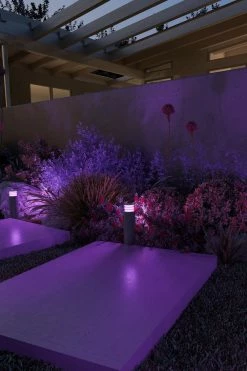 Calex Lampe De Table LED Intelligente - Wifi Lumière D'ambiance - RVB Et Lumière Blanche Chaude - Noir -Glass Vases Boutique de vente 799x1200 1