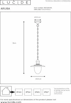 Lucide ARUBA Lampe à Suspension D'extérieur - Ø 25 Cm - E27 - IP44 - Zwart -Glass Vases Boutique de vente 821x1200