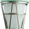 Unbranded Led Camping Lantern Alimenté Par Batterie Lumières De Camping Avec Effet De Flamme Lampe Portable Avec 2 Modes D’éclairage Scintiller Feu Tente Lumières Pour L’urgence, Randonnée